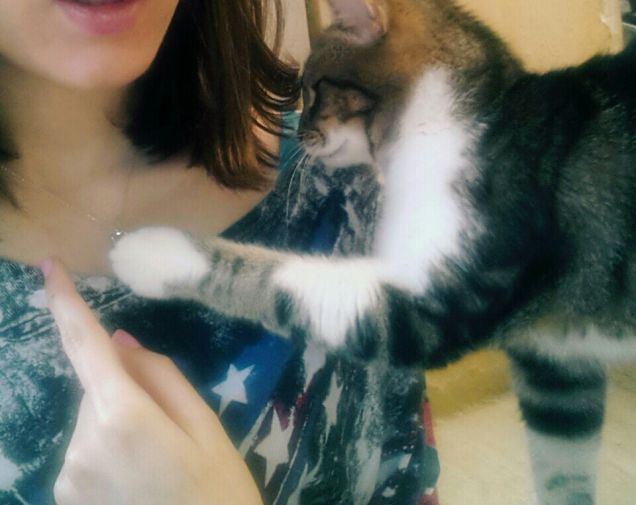 Hooman... What's this thing?!