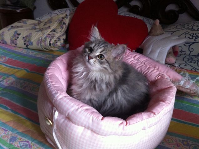 il primo giorno a casa!