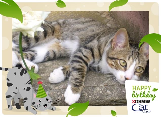 i ricordi d'infanzia