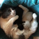 IL LIETO EVENTO : LA NASCITA