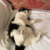 Venezia e la vita comoda