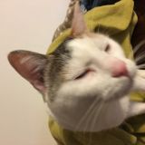 Merlina è proprio buffa