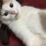 Merilina ti ho immortalata