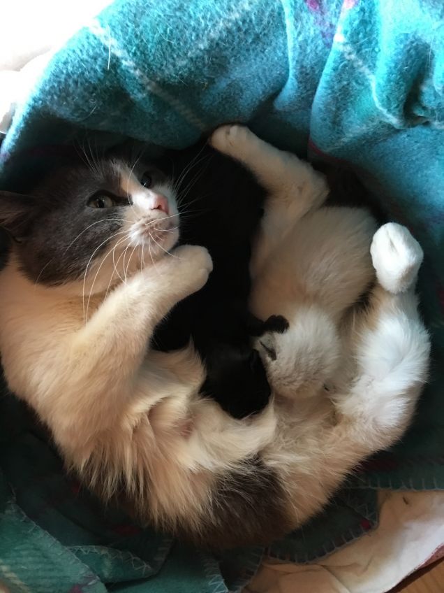 Il lieto evento si è compiuto!