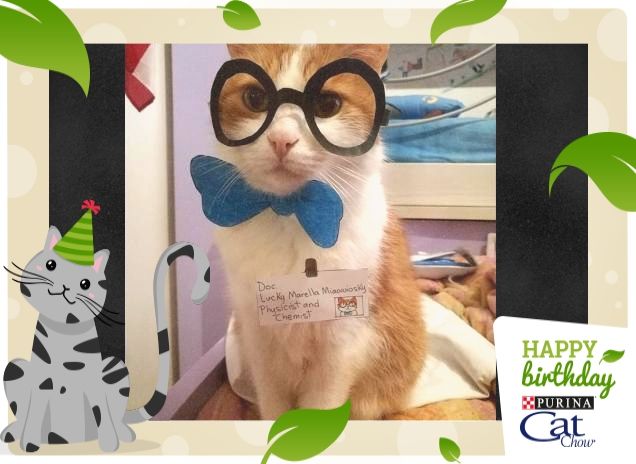 Il dottore è pronto per la visita