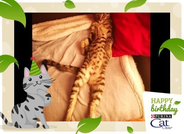 oh, come mi stiracchio!!