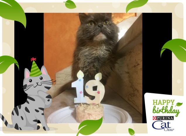 tanti auguri a SISSY