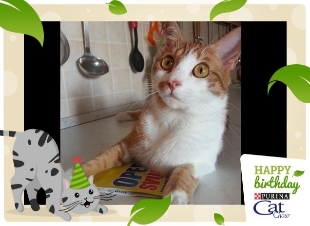 Romeo Er Mejo del Colosseo