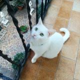 Francesca