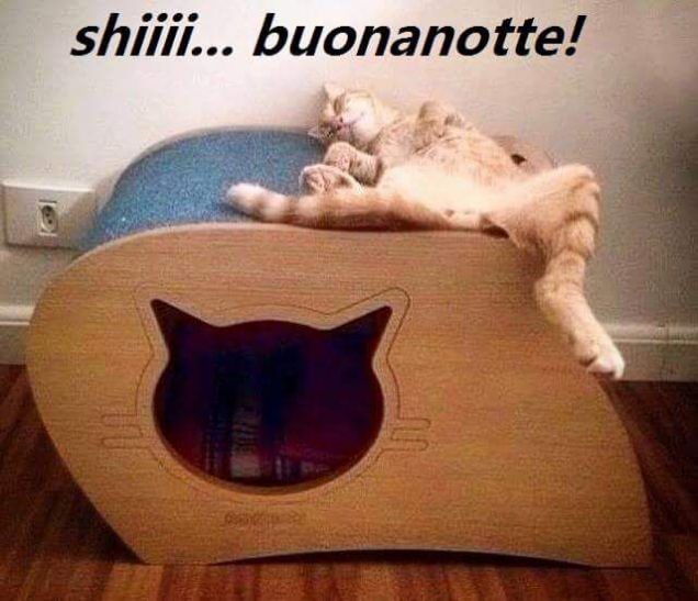 Buonanotte 