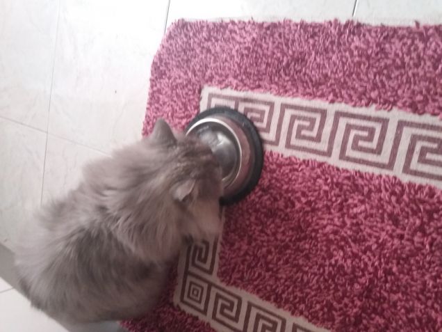 Acqua  fredda cn ghiaccio 