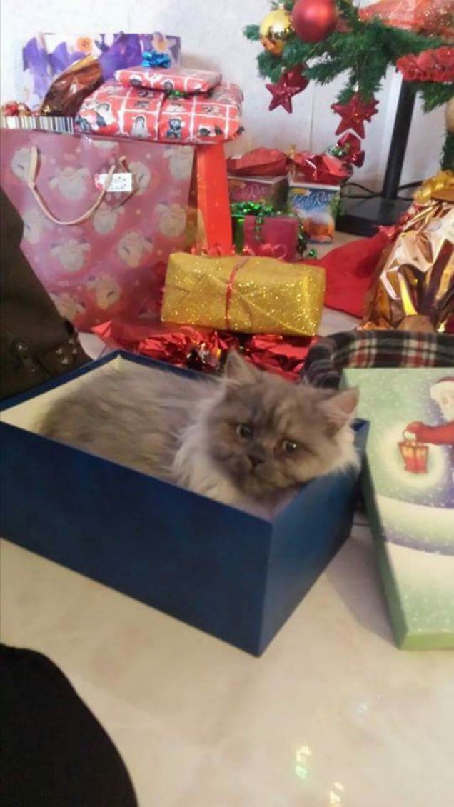 Eccomi !!! Arrivato il 1 giorno  a casa 