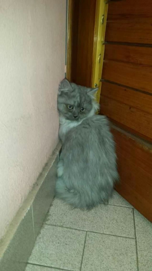 Ho paura ...1 giorno a casa 