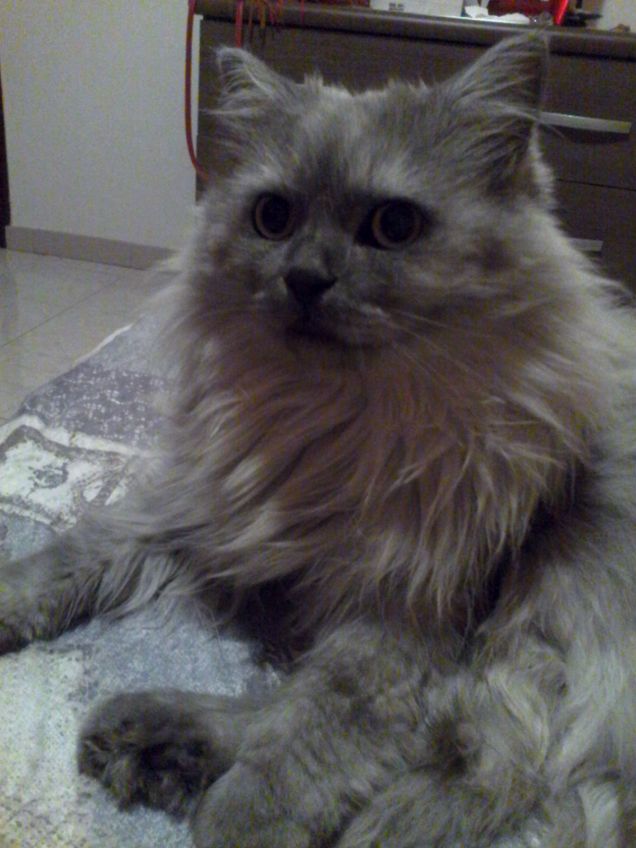 Tutt uno cn il letto