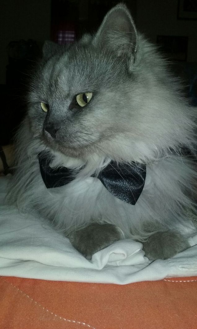 Kiko  in posa x la foto 