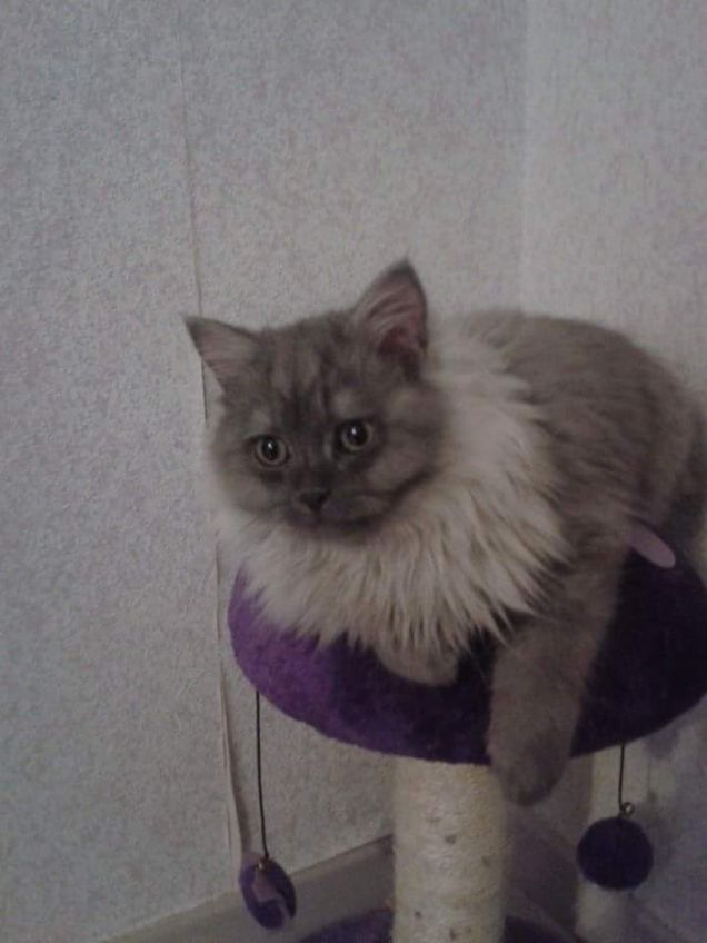 Un posto x giocare o riposare?