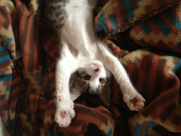 quando ancora era un nanetto