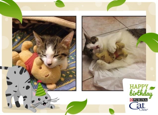 si cresce ma il peluche rimane sempre lo stesso!