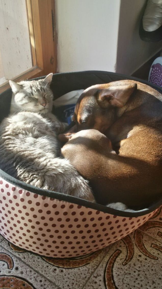 Ninna con il suo fratellino