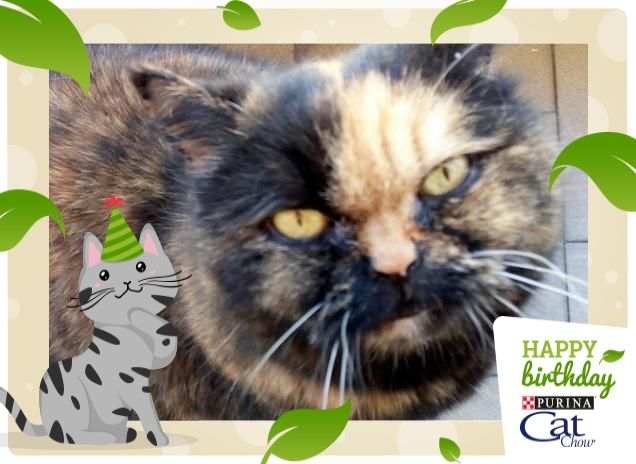 Tanti auguri cucciola!^^