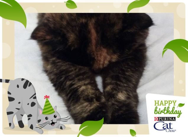 Tanti auguri... Dai non vergognarti!^^