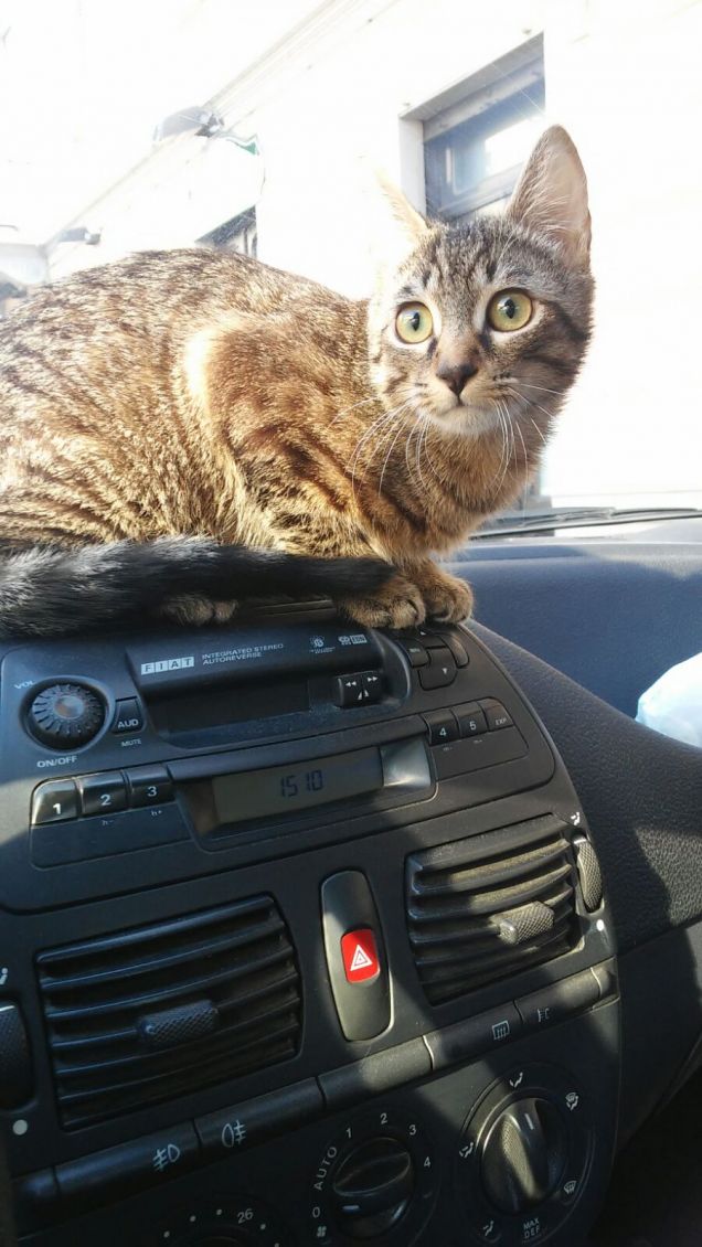 dai mamma, spostati che guido io