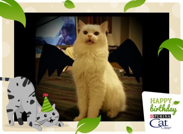 Sono il Signore della Notte!