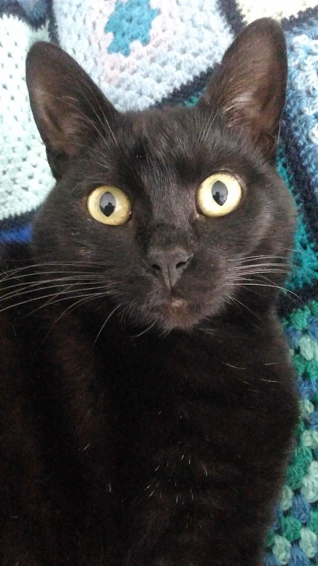 Occhioni così...dove li trovi?