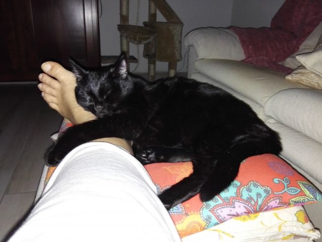 Adesso sei mio......