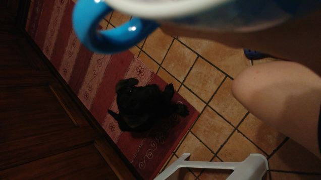 Fred beggin for food