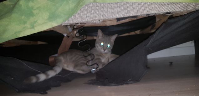 Il mio bunker segreto...