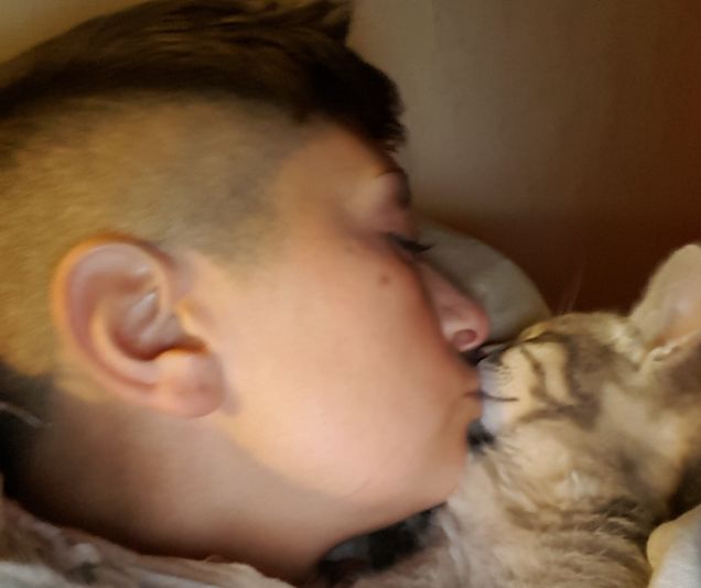 Bacio della buonanotte 