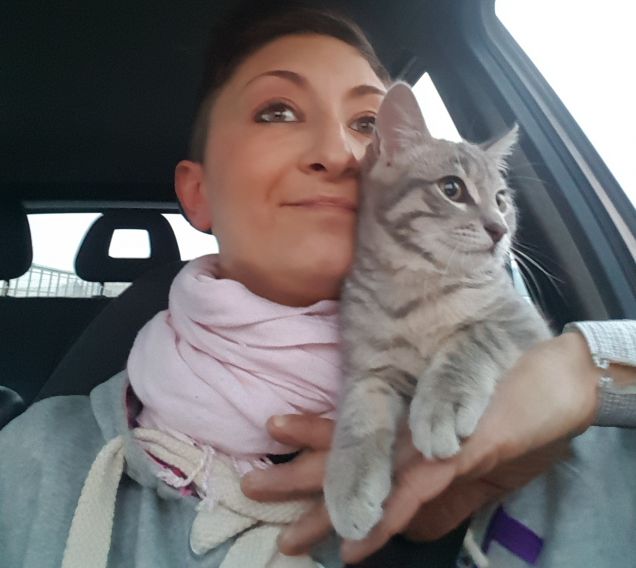 Molto comodo... in cars..