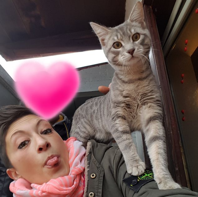 Sempre in prima linea