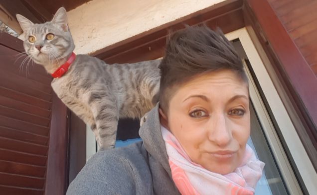 Caccia ai piccioni...