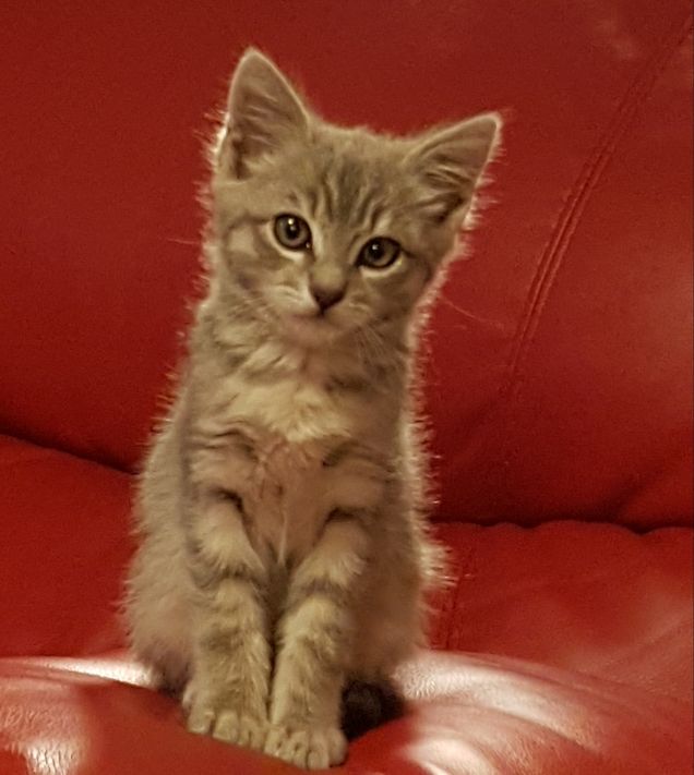 Il mio primo gg a casa con la mia nuova mamma