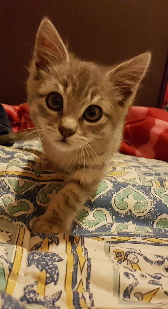 Semplicemente bellissimo 