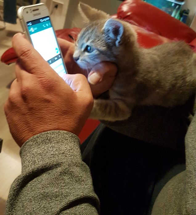 Piccoli informatici crescono