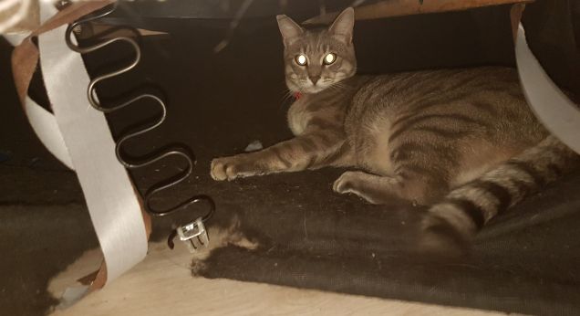 Il mio bunker segreto...