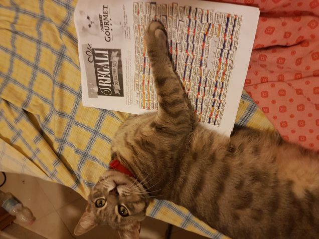 Mangio e vinco ... magnifici regali