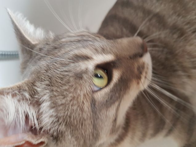 Questione di sguardi 