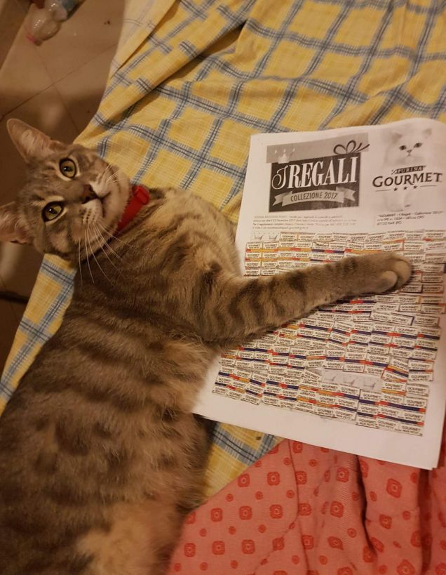 Pappa buona... ricchi premi