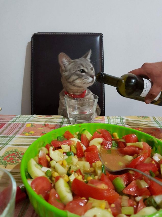 Si grazie... un altro sorso grazie 