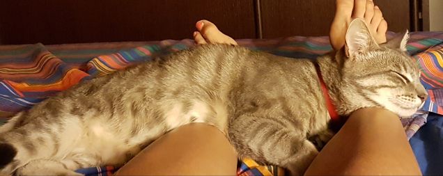 Scaldotto naturale....locoleo