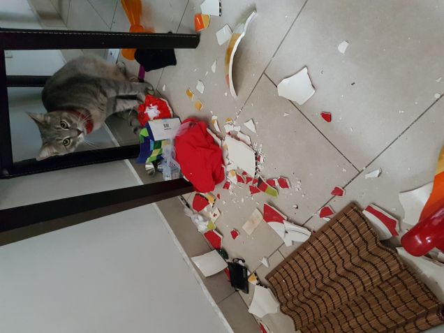 Io non ho fatto nulla...