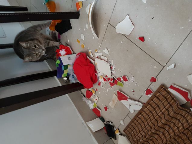 Non guardarmi così.. . Nn sono stato io...