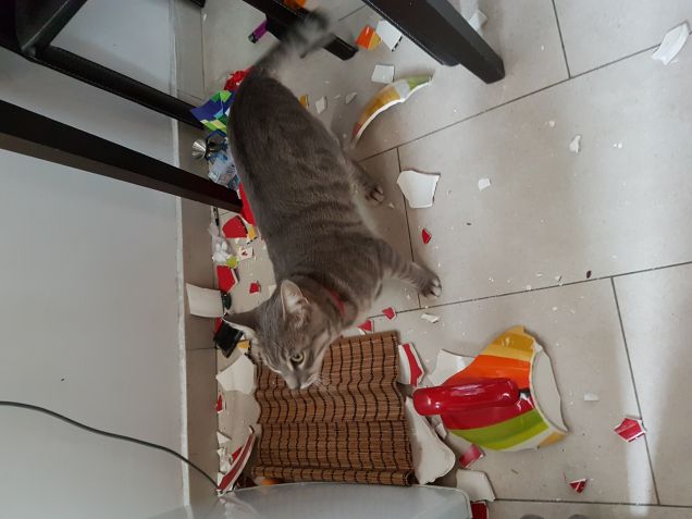 Mesa che l ho fatta grossa...