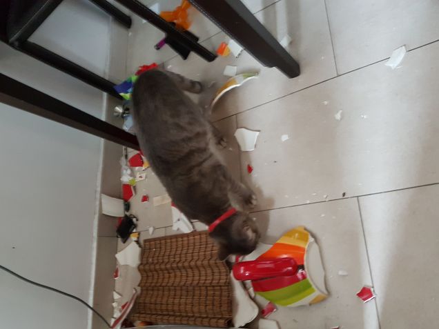 Si arrabbiata la mia mams...