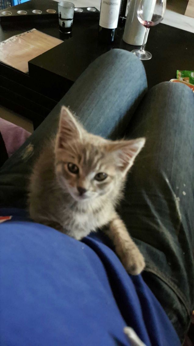 Primo giorno con la mia mammina