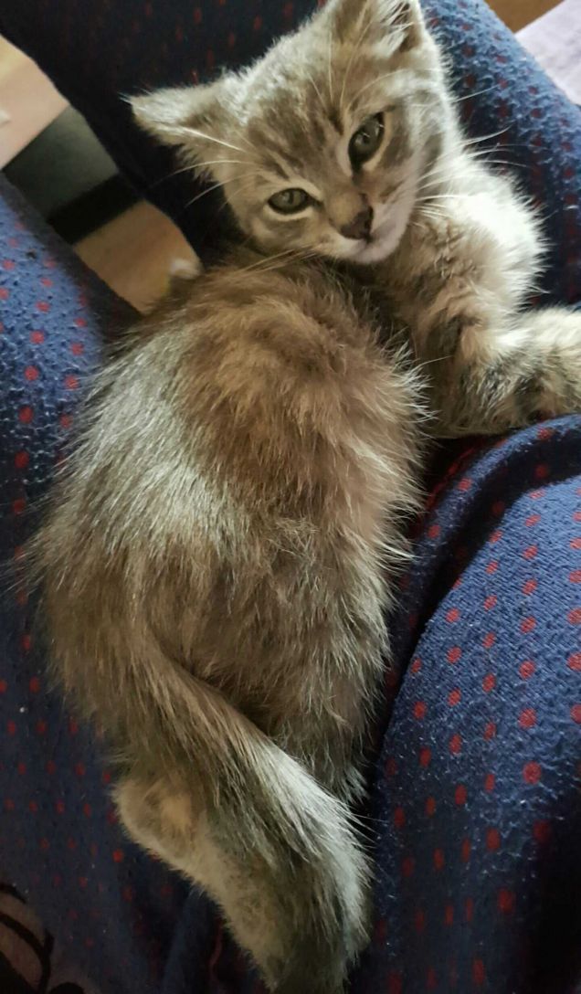 Primo giorno nella mia nuova casetta